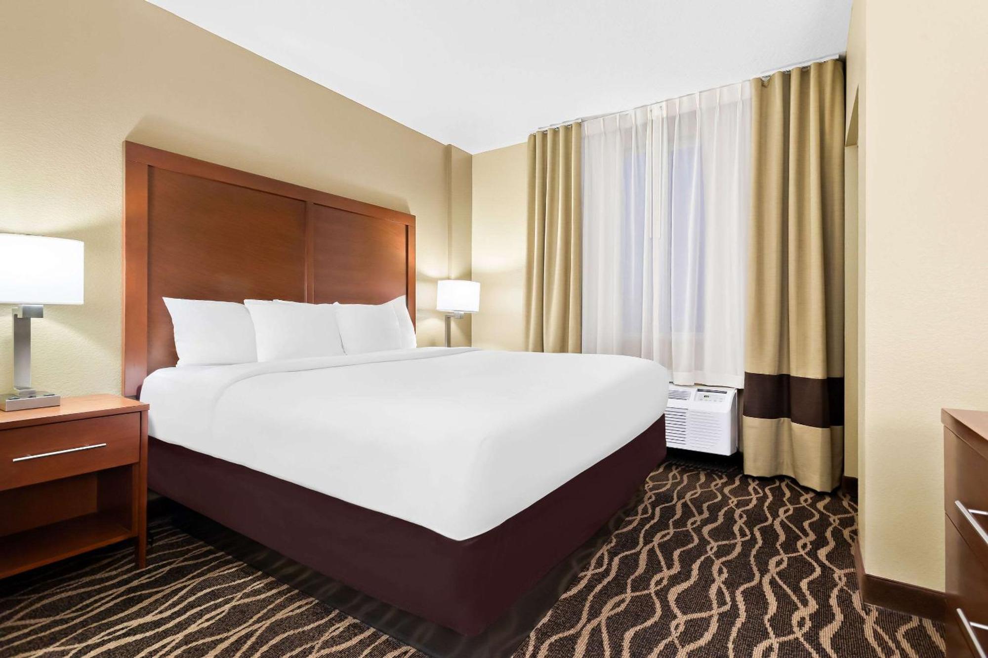 Comfort Suites Tampa Airport North West Chase Exterior foto