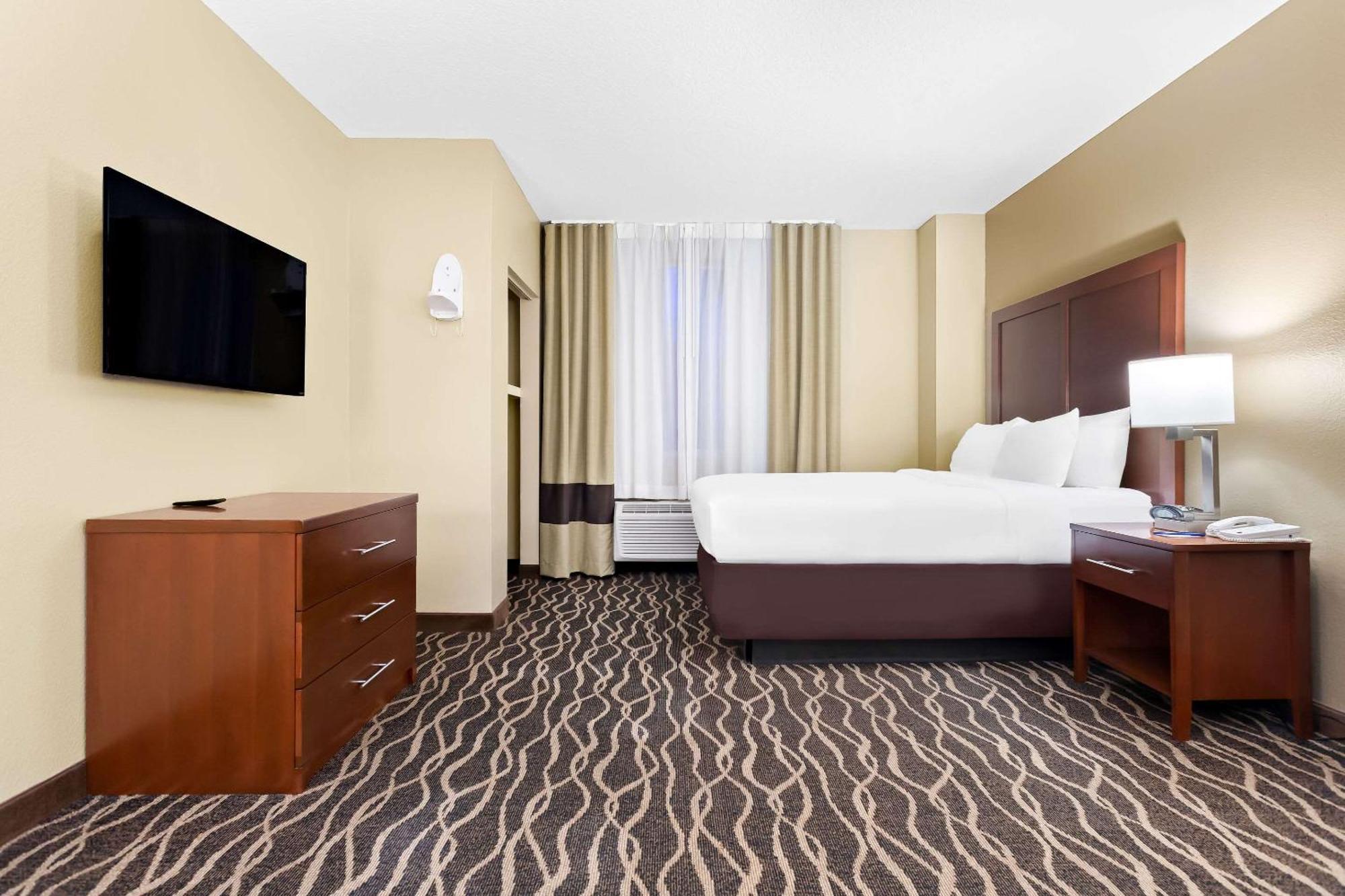 Comfort Suites Tampa Airport North West Chase Exterior foto