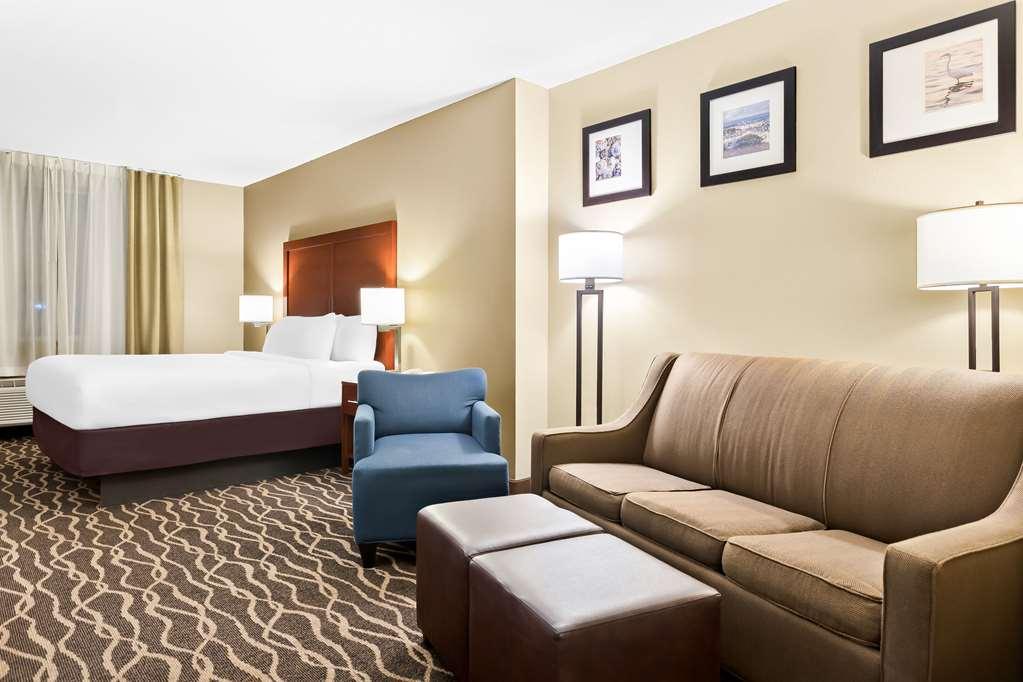 Comfort Suites Tampa Airport North West Chase Habitación foto