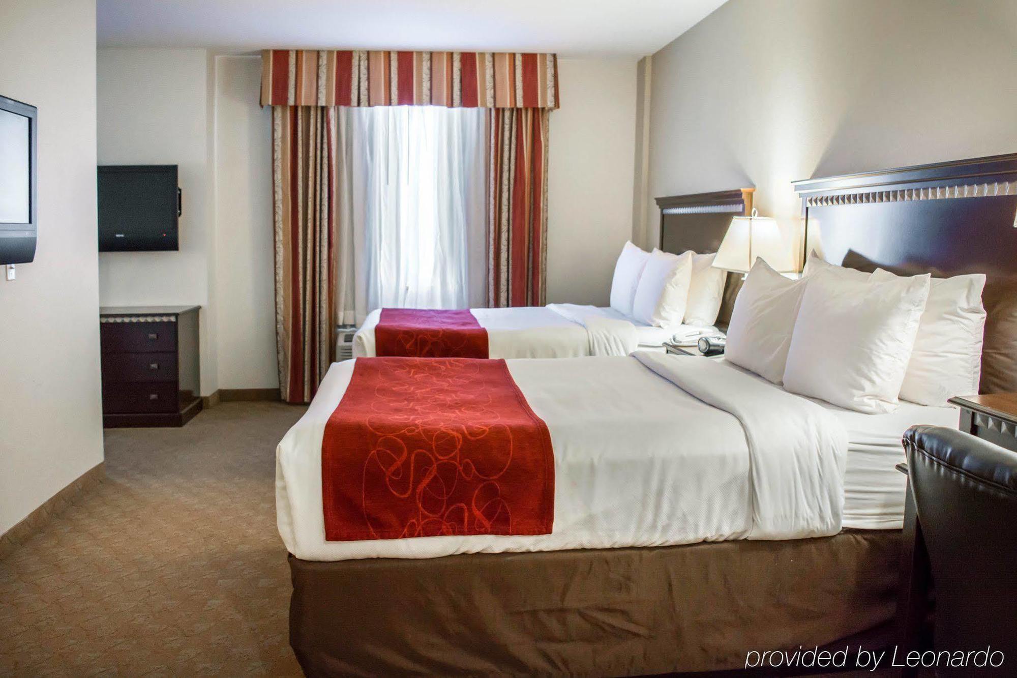Comfort Suites Tampa Airport North West Chase Exterior foto